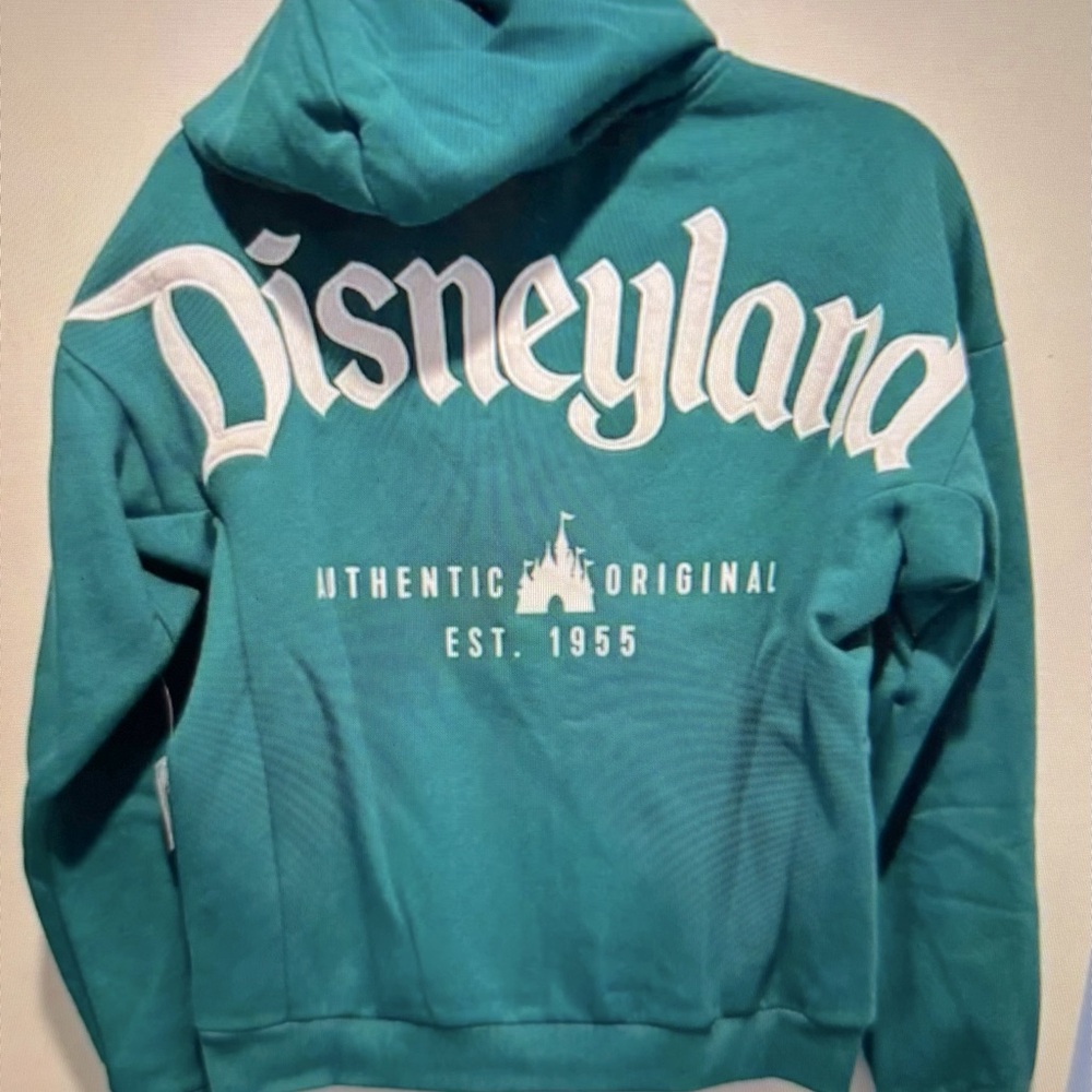 Disneyland Teal Hoodie Sweater - Size Small
Used Once